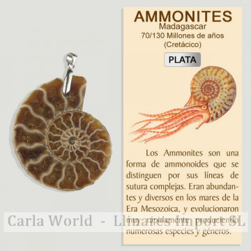 AMMONITE. Pendant in SILVER.