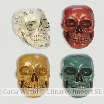 Skull resin smooth. Assorted colors. 12X12x18cm