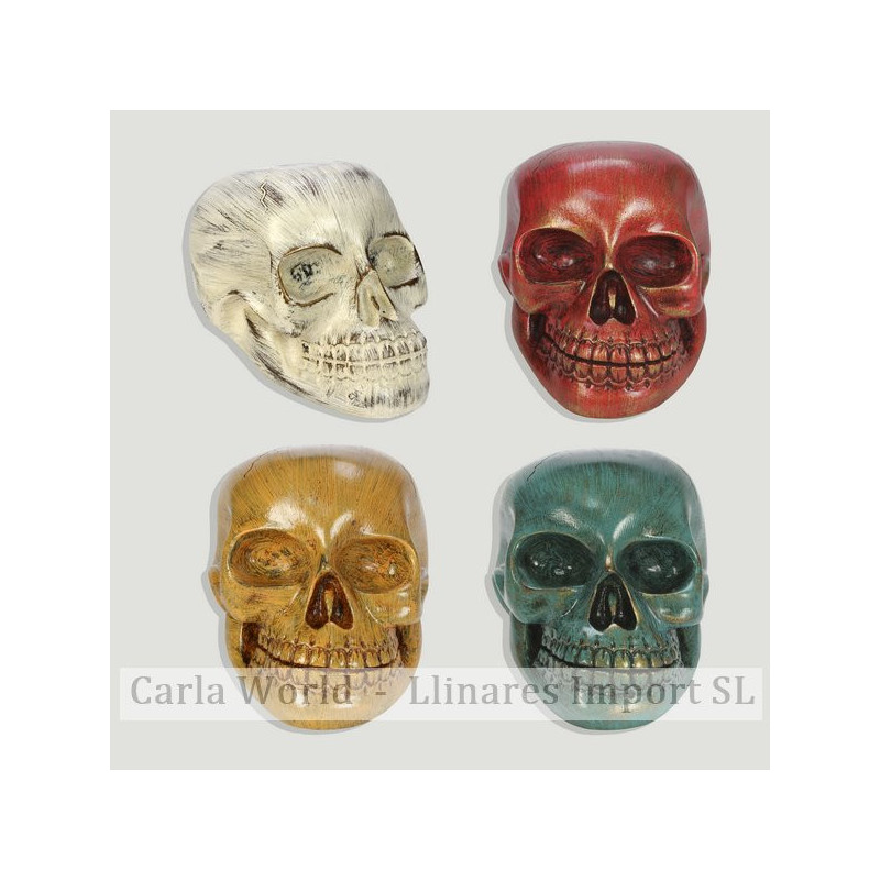 Skull resin smooth. Assorted colors. 12X12x18cm Skull resin smooth. Assorted colors. 12X12x18cm