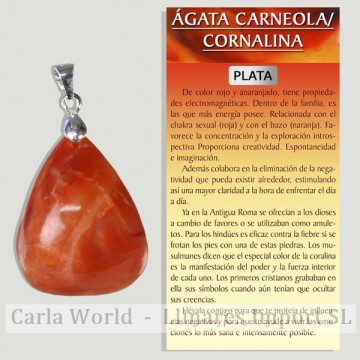 AGATE CORNALLINE. Pendentif...