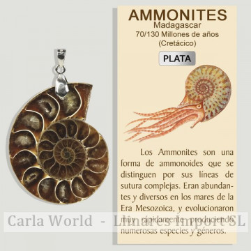 AMMONITE. Pendentif en argent