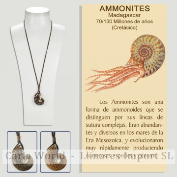 Colgante Ammonites...