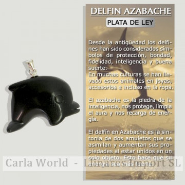 DELFÍN. Colgante plata. Mineral Azabache