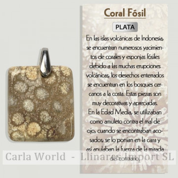 CORAL FÓSSIL. Pingente de...