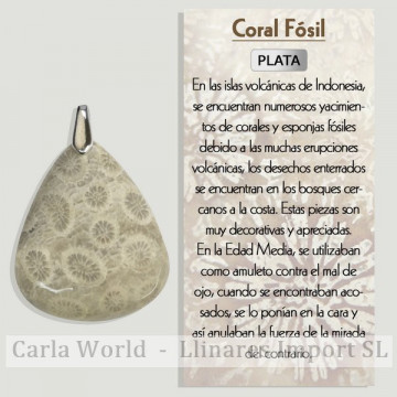 CORAIL FOSSILE. Pendentif...