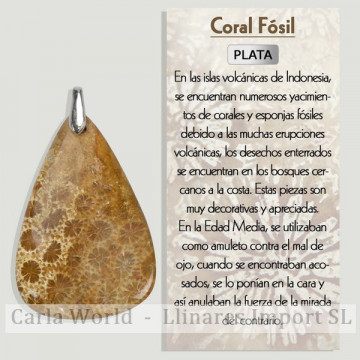 CORAIL FOSSILE. Pendentif...