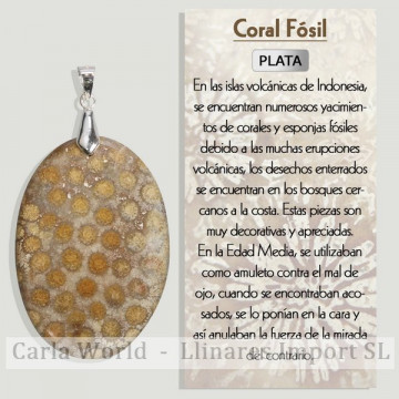 CORAIL FOSSILE. Pendentif...