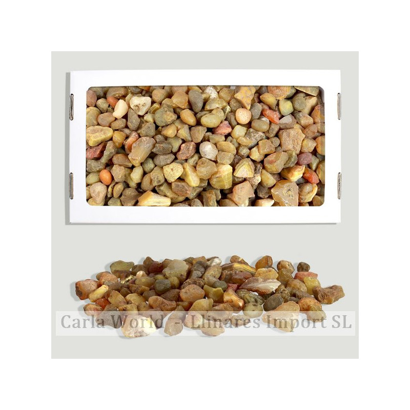 Carneola masivo trocada 1,5kg aprox. Caja 26x14cm Carneola masivo trocada 1,5kg aprox. Caja 26x14cm