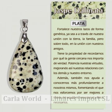 JASPE DALMATIEN. Pendentif en argent. Formes assorties