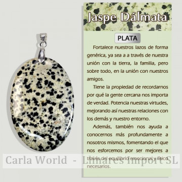 JASPE DALMATIEN. Pendentif en argent. Formes assorties