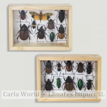Wood frame 20x15cm. 10...
