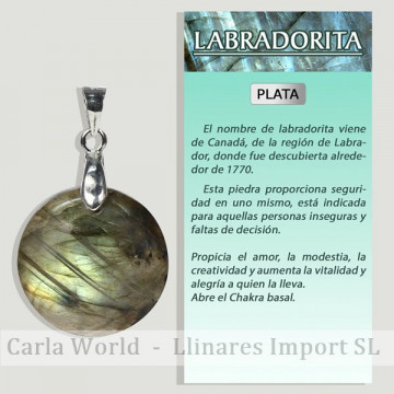 LABRADORITE. Pendentif...