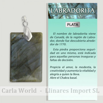 LABRADORITE. Pendentif...