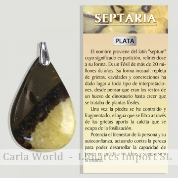 SEPTARIA. Colgante PLATA....
