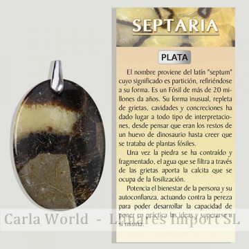 SEPTARIE. Pendentif ARGENT....