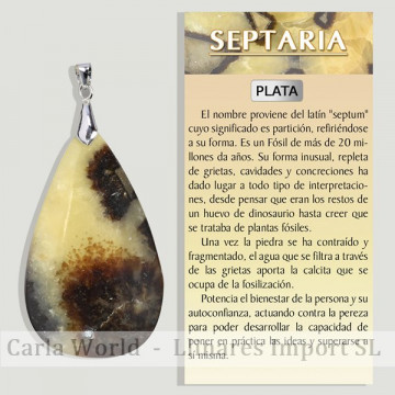 SEPTARIE. Pendentif ARGENT....