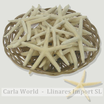 Cesta de Estrella Mar puntas naturales. (7-10cm)