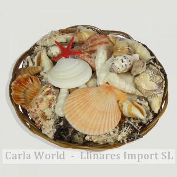 Cesta com conchas e estrela do mar plana. 20cm