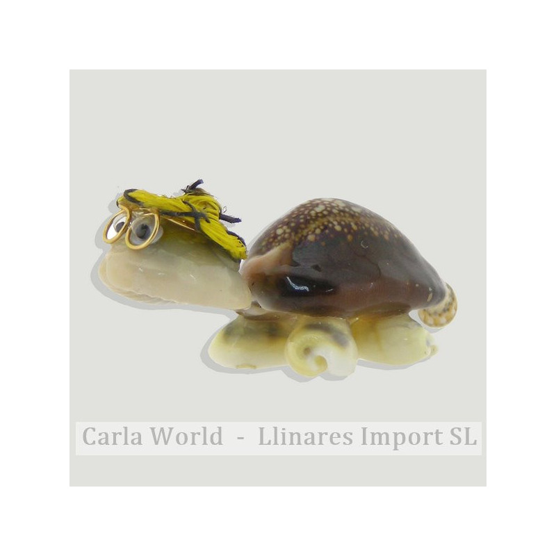 Simple caput turtle with glasses. +6cm Simple caput turtle with glasses. +6cm
