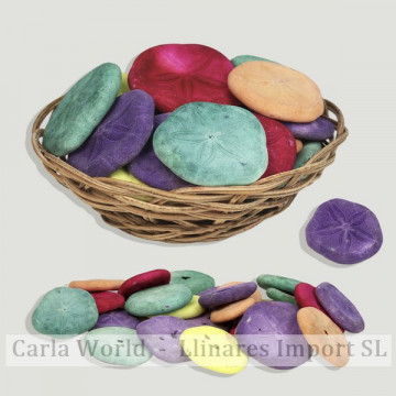 Basket of sea biscuits assorted colors. +3cm (25 pcs per basket)