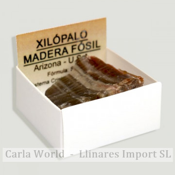 4x4 Box - Xilopalus - Arizona