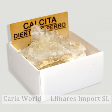 Boîte 4x4 - Calcite en dents de chien - Mexique