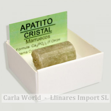 4x4 Box - Small green Crystal Apatite - Maroc