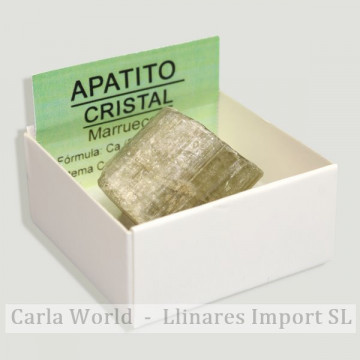 4x4 Box - Green Apatite Medium Glass - Maroc