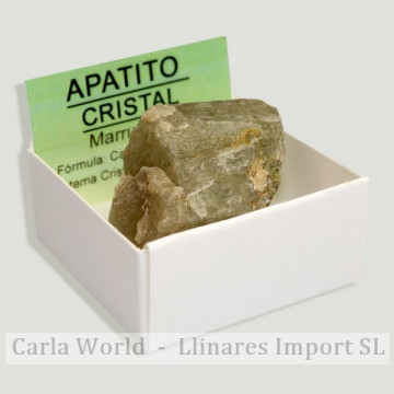 4x4 Box - Large green Crystal Apatite - Maroc