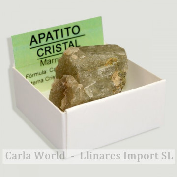 Boîte 4x4 - Grand cristal vert Apatite - Maroc