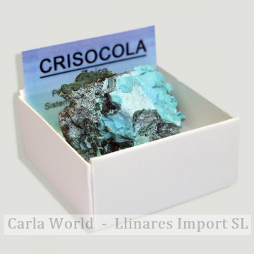 4x4 Box - Chrysocolla - Zaïre