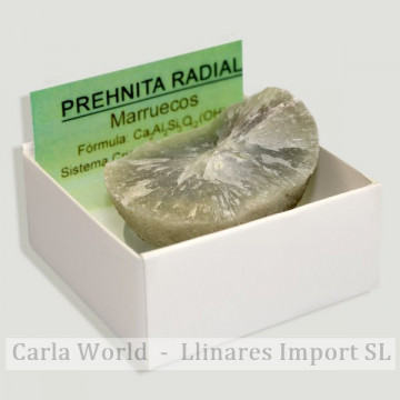 4x4 Box - Prehnita Radial - Maroc