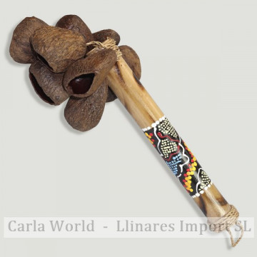 Maraca native fruit.  23cm approx
