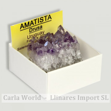 Boîte 4x4 - Drusa Amethyst - Uruguay.