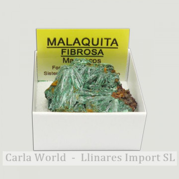 Boîte 4x4 - Malachite fibreuse - Maroc.