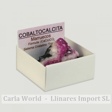 4x4 box - Cobaltocalcita - Morocco.