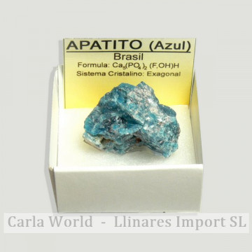 Cajita 4x4 - Apatito Azul -...