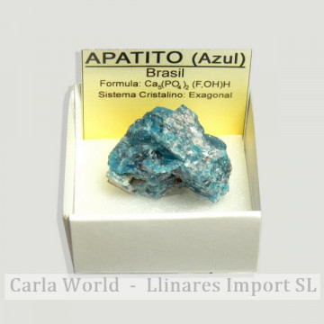 Boîte 4x4 - Apatite Bleue -...