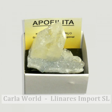 4x4 box - Apophyllite...