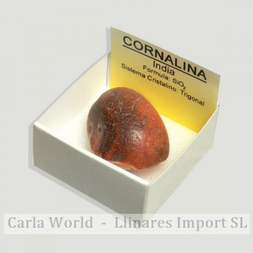 4x4 box - Carnelian - India