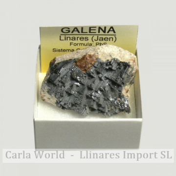 4x4 box - Galena - Linares...