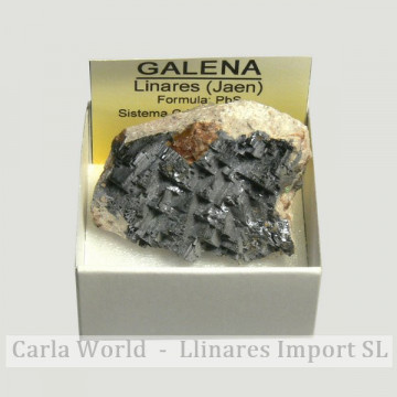 Cajita 4x4 - Galena -...