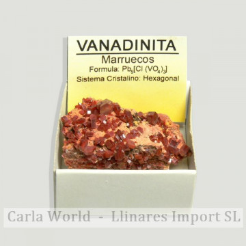 4x4 box - Vanadinite - Morocco