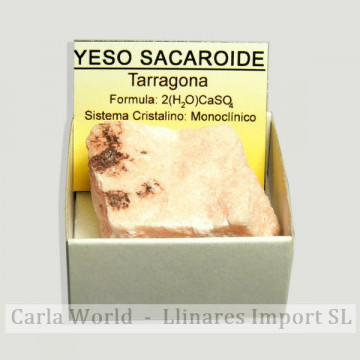 4x4 box - Saccaroid Plaster...