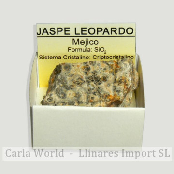 Cajita 4x4 - Jaspe leopardo...