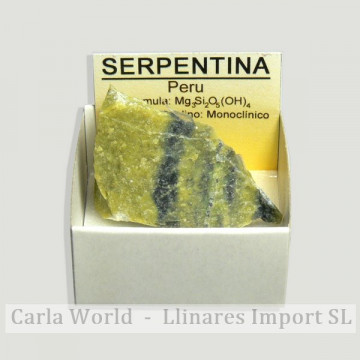 Cajita 4x4 - Serpentina -...