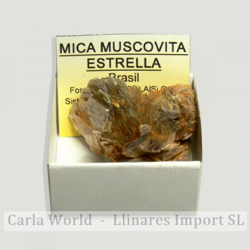 4x4 box - Star Muscovite...