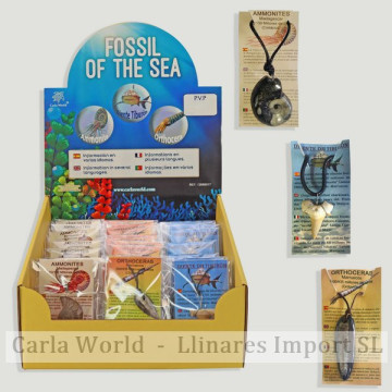 FOSSIL OF THE SEA. Colgante...