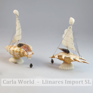 Boat shells 1 sail 12x15cm