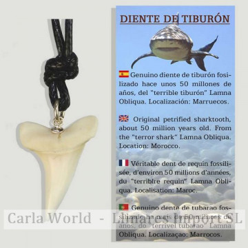 DENT DE REQUIN. Pendentif...